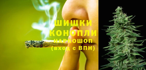 стаф Кодинск