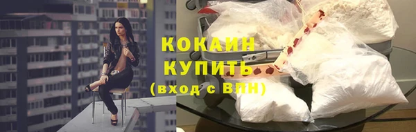 стаф Кодинск