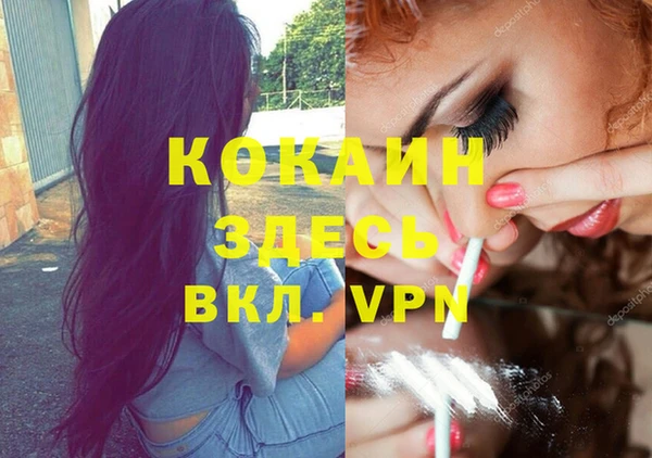 стаф Кодинск