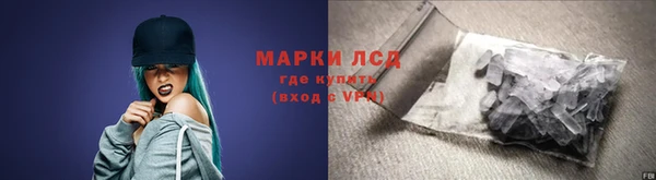 ПСИЛОЦИБИНОВЫЕ ГРИБЫ Козловка