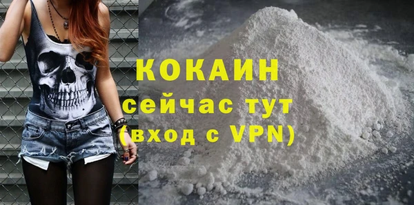 ПСИЛОЦИБИНОВЫЕ ГРИБЫ Козловка