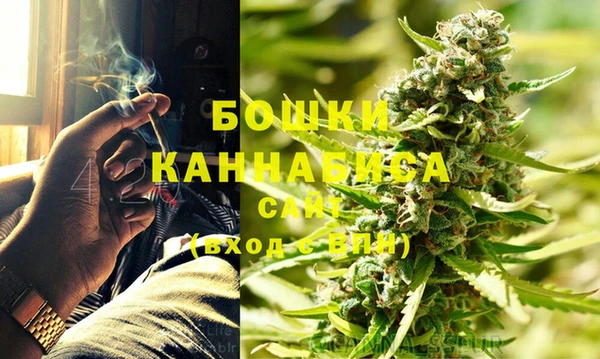 ПСИЛОЦИБИНОВЫЕ ГРИБЫ Козловка