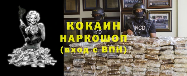 стаф Кодинск