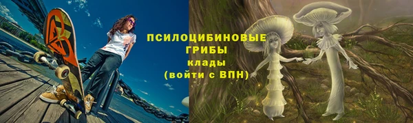 стаф Кодинск
